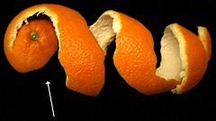 orange skin
